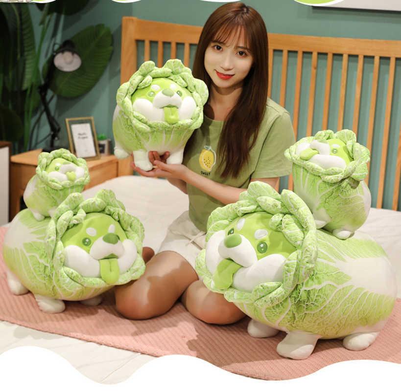 New 22-55cm Kawaii Vegetable Dog Plush Toy Cabbage Shiba Inu Creative Pillow Pp Cotton Filled Sofa Cushion Girl Christmas Gift H1025