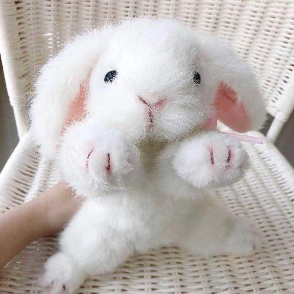26cm Plush Rabbit Toy Simulation Animal Rabbit Soft Doll Lifelike Rabbit Plush Kids Toys High Quality Birthday Gift For Children H1025